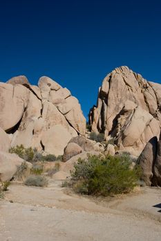 Joshua Tree National Park is located in south-eastern California.