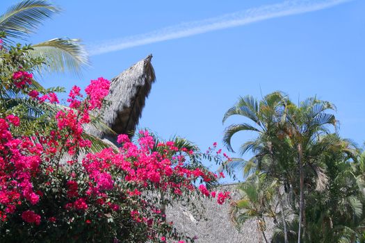 Beautiful Cabana surounded by flowers and ocean