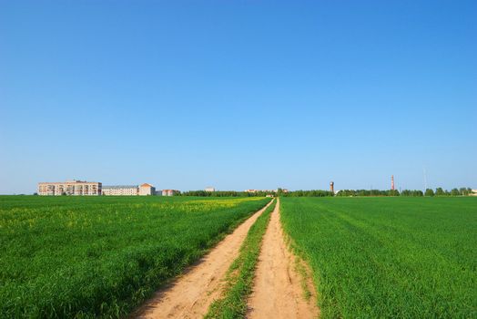 photo of the road through green field