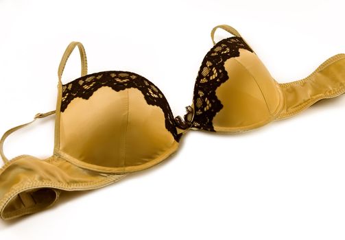 Beautiful golden ang brown brassiere on white