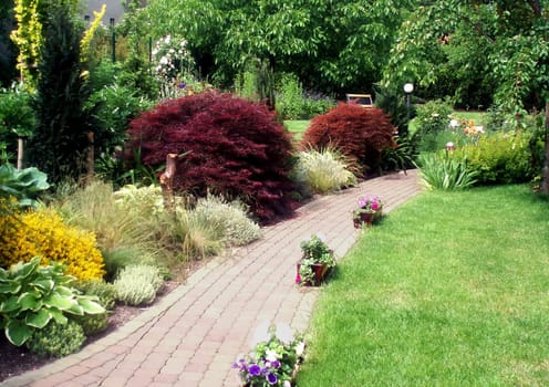 Beutiful summer garden with a lot of plant species
