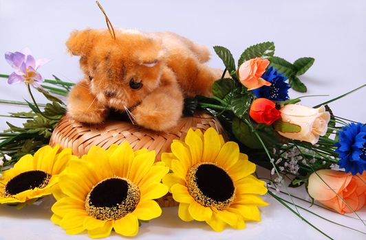 Teddy bear still life - toy is surrounded by flowers isolated on gray