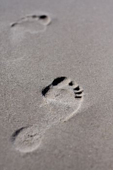 steps on the sandy beach