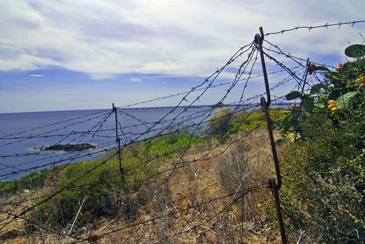 Beautiful world outside the prison with barbed wire