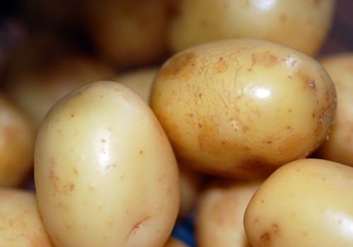 A pile of uncooked new salad potatoes 