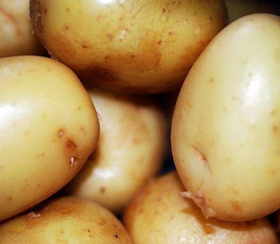 A close up photograph of a pile of raw potatoes