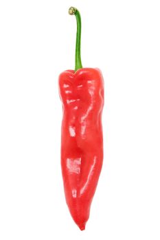 Red chilli pepper isolated on a white background.