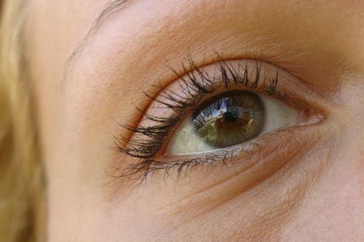 Female eye close-up. At use of a macro-ring