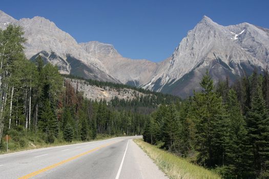 Straight scenic road in British Columbia, Canada. Rocky Mountains landscape. Yoho National Park.
