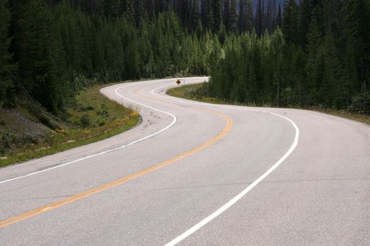 Winding road in Kootenay National Park, Canada. Emptiness.