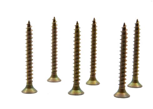 The picture of the cute copper screws