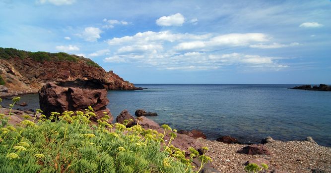 Rocky bay with beach and yellow flowers in te foreground