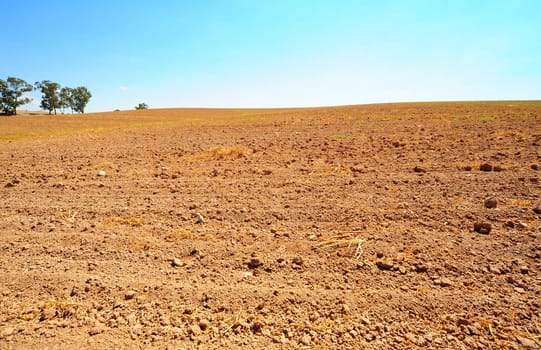 Freshly Plowed Field In Autumn Ready For Cultivation