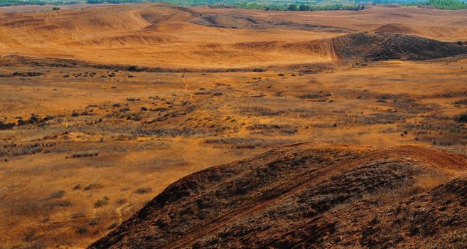 Landscape On The Border Of The Mediterranean And Desert Climate