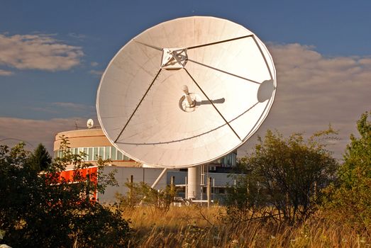 Broadcasting center with satellites hidden between the trees