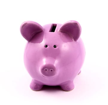 purple piggy-bank isolated on white background