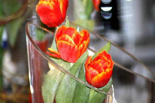 Tulips