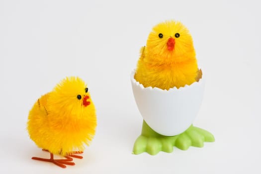 chicken in funny egg holder