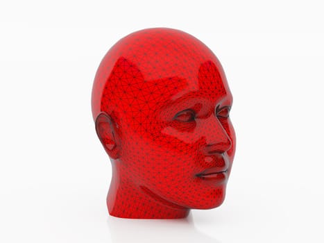 High resolution image head. 3d illustration over  white backgrounds.
