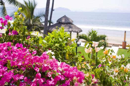 Beautiful Cabana surounded by flowers and ocean