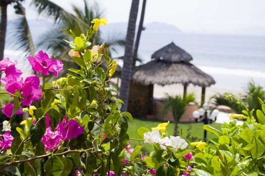 Beautiful Cabana surounded by flowers and ocean