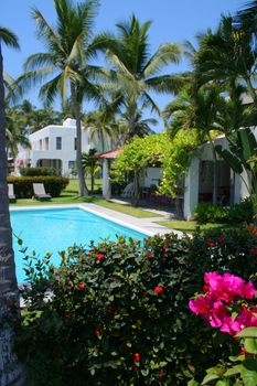 Beautiful blue pool surounded by plants an flowers