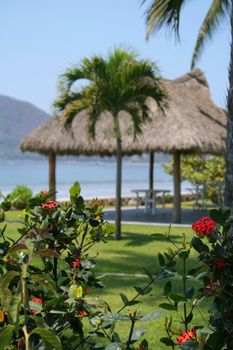 Beautiful Cabana surounded by flowers and ocean