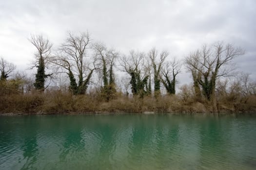 Trees on coast with stormy clouds
