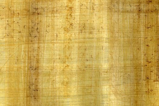 Old piece of papyrus texture