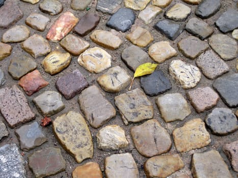 Streetway of multicolored stoneblock and yellow leaf background