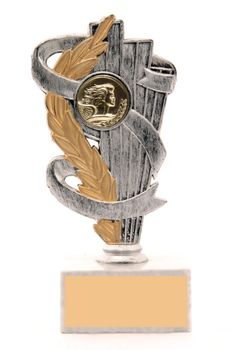 Trophy with plaque for text
