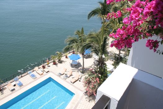 Beautiful blue pool surounded by plants an flowers