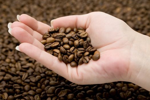 Female hand holding roasted coffee beans.