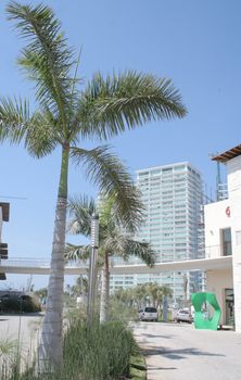 Modern hotels in Puerto Vallarta Mexico