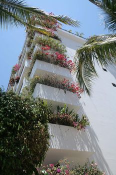 Modern hotelin Puerto Vallarta Mexico with lots of flowers