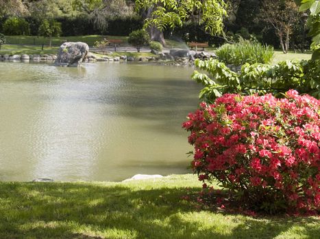 japanese Garden, Buenos Aires, Argentina