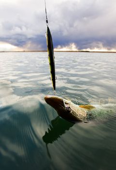 A fish is caught with a storm moving in