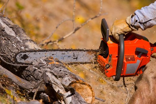 A  lumberjack working with a chainsaw