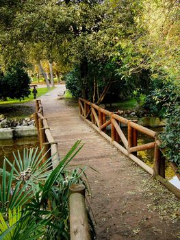 Little wooden bridge in garden public "Park Retiro" in Madrid.