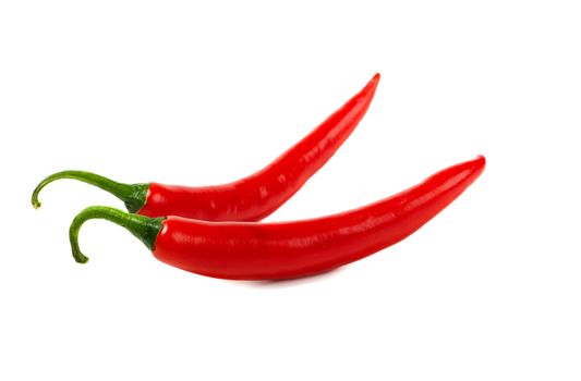 Two red hot chili peppers over white