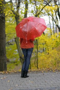 The girl with a red umbrella autumn yellow