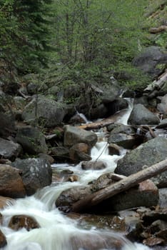 Clear mountain stream flowing through the forest