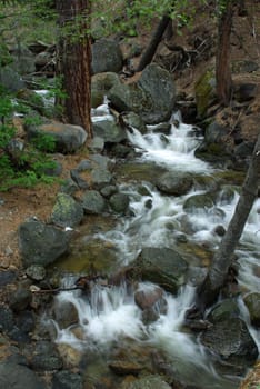 Clear mountain stream flowing through the forest