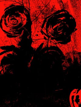 Grungy background - Black roses 