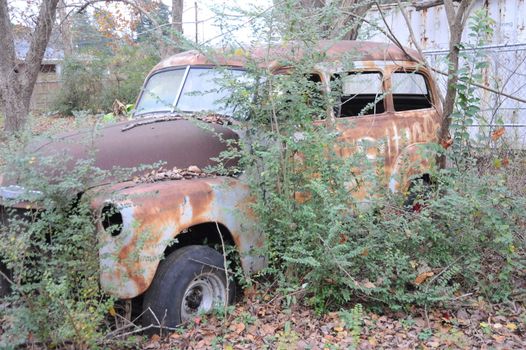 Vintage car abandoned in the woods.