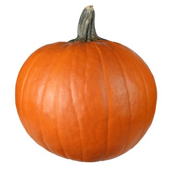 Isolated image of a pumpkin against a white background. Clipping path included.