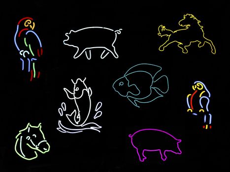 Several neon signs shaped like animals