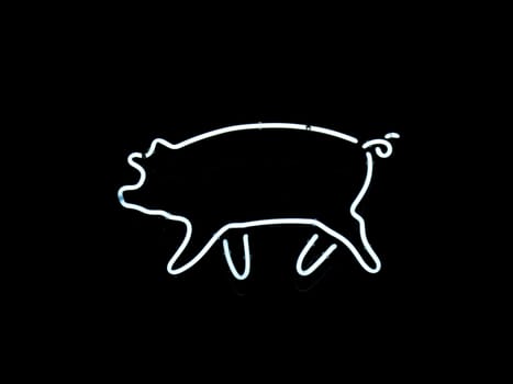 Neon sign shaped like the outline of a pig