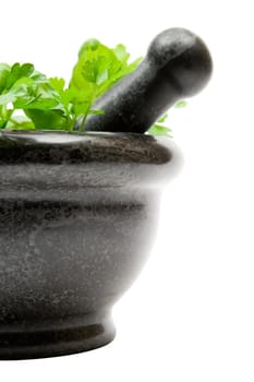 Crushing fresh herbs in a stone mortar. Isolated on a white
background.