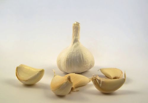 bulb garlic and some cloves over white background